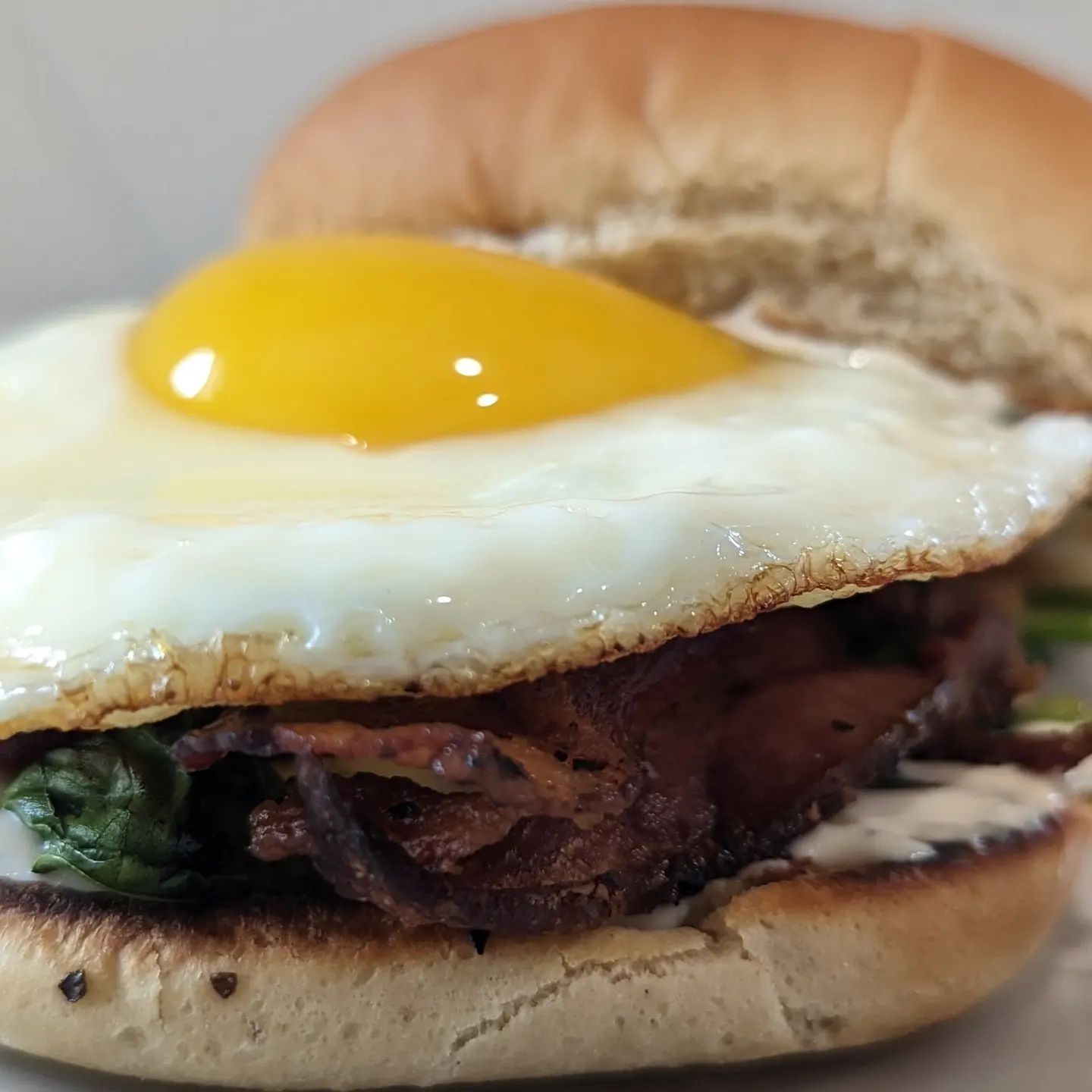 Quick breakfast SandwichKeto bun, bacon ends and pieces from my home cured bacon, sauteed spinach, and a fried egg with @laterrafina everything bagel dip on the buns. #breakfast #breakfastsandwich #eggs #ketobreakfast #lowcarbreakfast #sandwiches